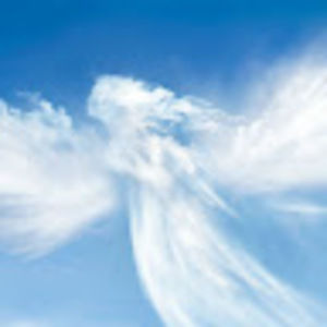 Meet your Posher, Dead